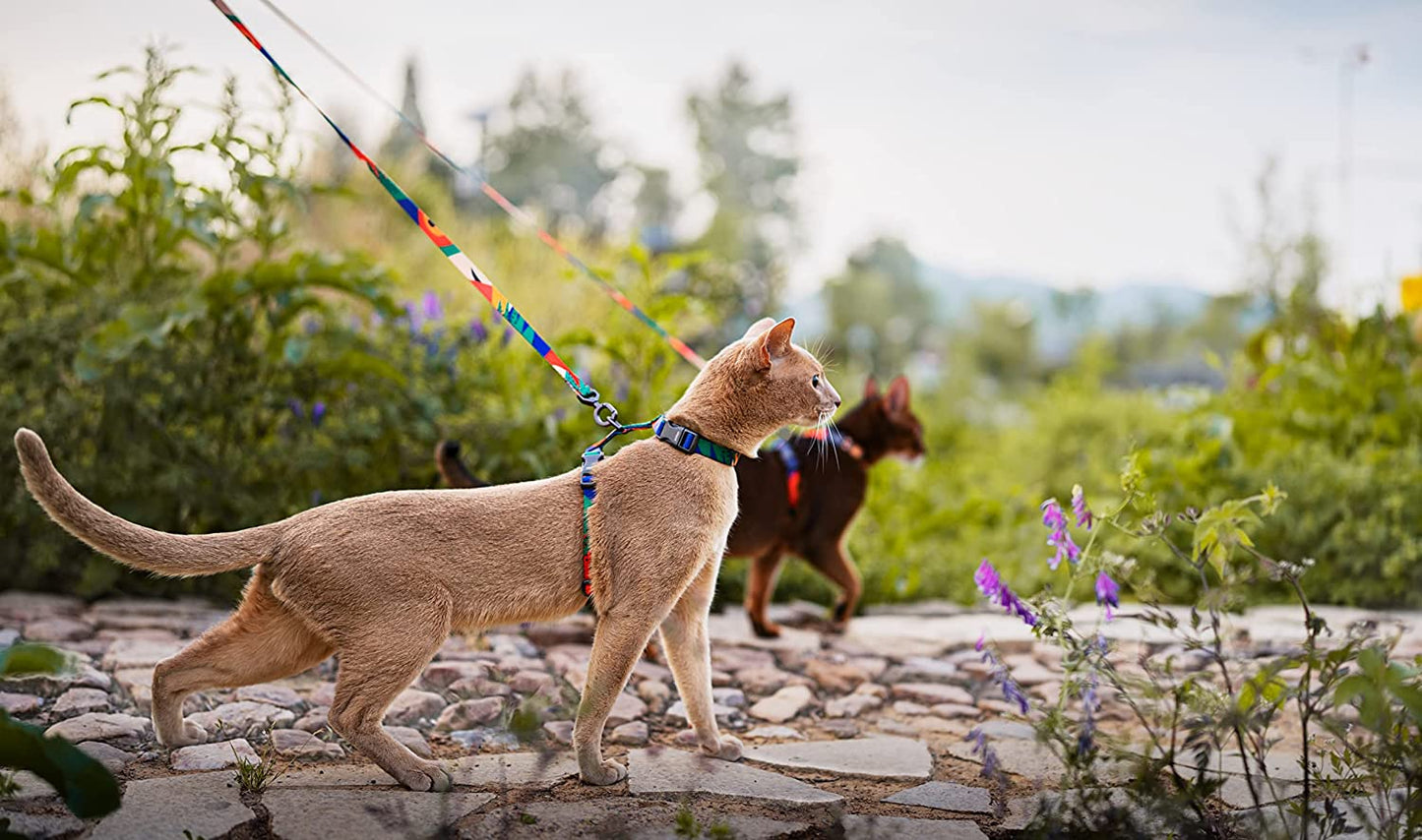 Cat Harness and Leash Set, Cats Escape Proof - Adjustable Kitten Harness for Large Small Cats, Lightweight Soft Walking Travel Petsafe Harness((Multicolor-M Size)